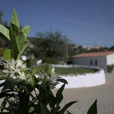 Swimming Pool Quinta Da Eira 140 Years Old Apartman *